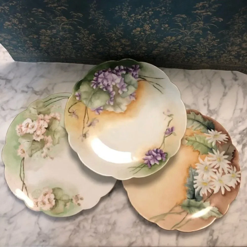 Vintage Bavaria Floral Hand Painted Plates